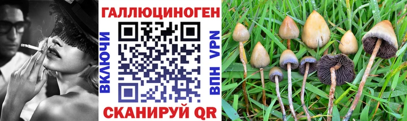 Купить  Невинномысск  Псилоцибиновые грибы Magic Shrooms 