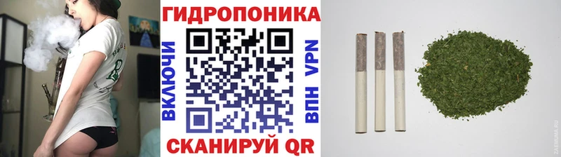 Купить где  Невинномысск  Канабис OG Kush 